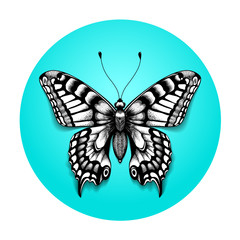 Tattoo beautiful butterfly for your shoulder. Realistic butterfly in blue circle. Black and white tattoo.