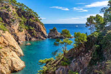 Obraz premium Nice detail from Costa Brava coastal in Spain, La Fosca