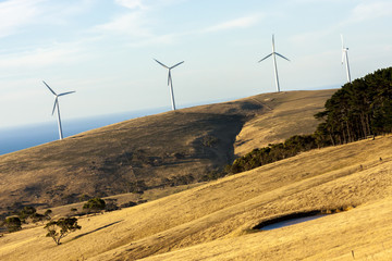 Tall wind turbines standing in a meadow overlooking the ocean. Western Australia.