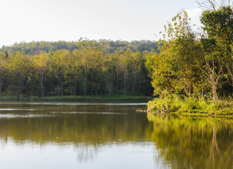 Fototapeta na wymiar landscape forest and lake at Jedkod-Pongkonsao Ecotourism and Environmental Education Center