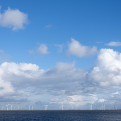 Fototapeta na wymiar lot of wind turbines on dutch island of flevoland seen from eempolder in noord-holland