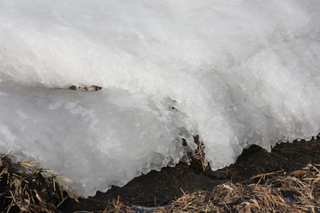 Neige fondant au soleil