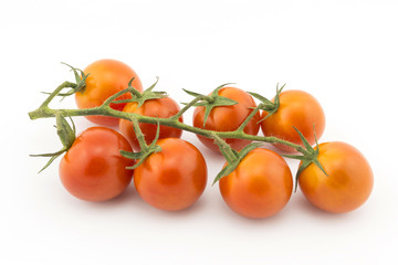 Tomatoes on white background