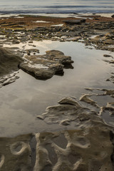 Diverse Beauty Graces the California Coast
