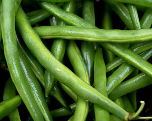 Fresh organic raw green beans like art background, texture