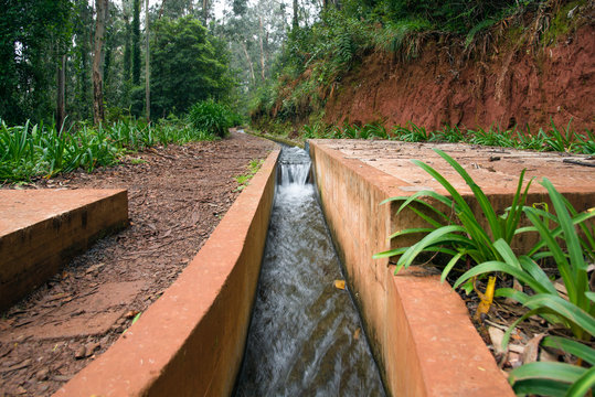 Levada, trails and surroundings on foggy, misty and rainy days. Leavdas are irrigation channels specific to the island of Madeira.