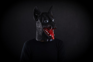 dogs, a man in a dog mask,year of the dog