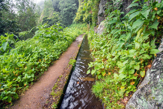 Levada, trails and surroundings on foggy, misty and rainy days. Leavdas are irrigation channels specific to the island of Madeira.