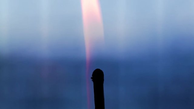 Nacimiento, vida y muerte