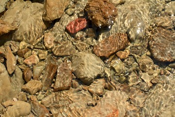 View of the bottom on the shore of the Adriatic Sea