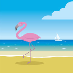 pink flamingo on the beach