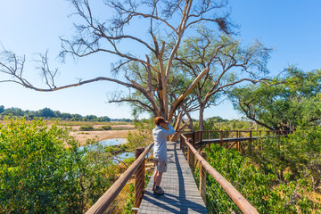 Tourist looking at panorama with binocular from viewpoint over the Olifants river, scenic and colorful landscape with wildlife in the Kruger National Park, famous travel destination in South Africa. - obrazy, fototapety, plakaty