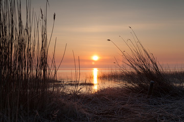 Sonnenaufgang am Saaler Bodden bei frostigen Temperaturen