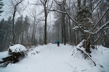 tourist and skialpinist hiking within the trees on the hill in winter. Slovakia	