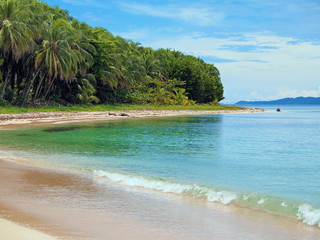 Tropical beach shore on a Caribbean island with green vegetation, Bocas del Toro, Panama, Central America