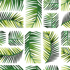 geometric arrangement palm leaves