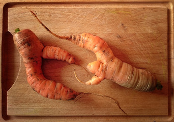 Two crooked carrots on a wooden plate.