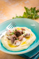 octopus with potato cream,selective focus