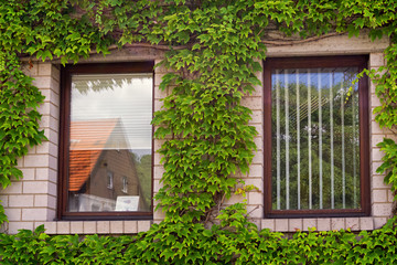 Reflections on two big windows,shot from a public place