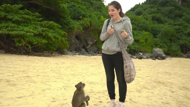 The girl feeds a little monkey with banana. Island of monkeys. The lovely little monkey eats banana. The girl imitates a monkey