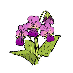 Vector bouquet of forest violets on a white background. Hand-drawn botanical illustration in the style of doodle, an isolate of a forest or garden flower. Pastel shades of green and purple.