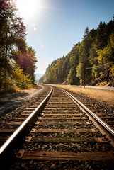 Obraz premium Train Track through Woods