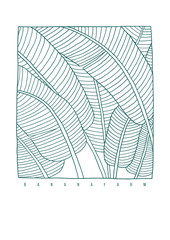 Banana leaves contour illustration. Hand drawn line art on the white background