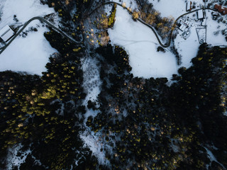 Roads in the cold forest