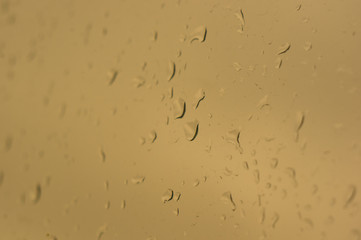raindrops on the window glass