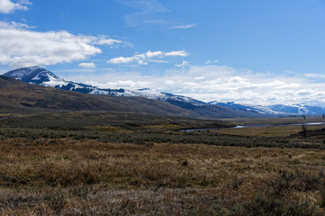 Fototapeta premium Lamar Valley, Yellowstone