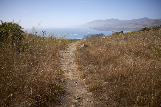 Bodega Bay Coastline Trail