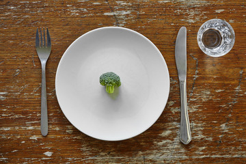 single broccoli on plate with knife and fork metaphor for dieting - obrazy, fototapety, plakaty