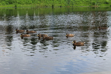 Санкт-Петербург