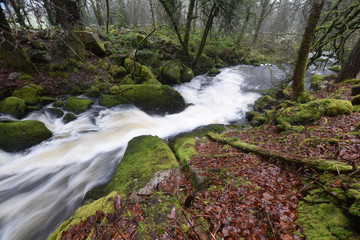 Fototapeta premium Moorland river in spate Bodmin Moor Cornwall