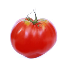 Tomate Cœur de bœuf 