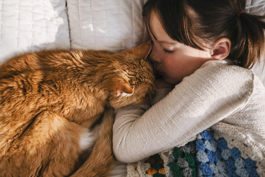 Close-up overhead view of a Girl having a nap on a bed with her cat
