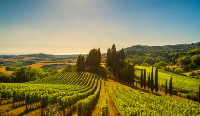 Casale Marittimo dorp, wijngaarden en landschap in de Maremma. Toscane, Italië.