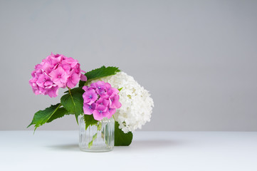 hydrangea flowers in a vase