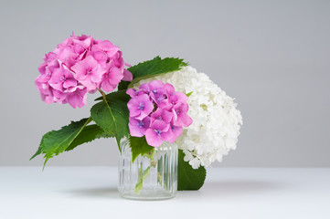 hydrangea flowers in a vase