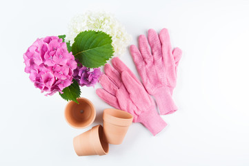 gardening gloves and pots