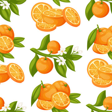 Oranges and orange products vector illustration natural citrus fruit vector juicy tropical dessert beauty organic juice healthy food seamless pattern background.