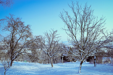 winter landscape with a rich snowflake