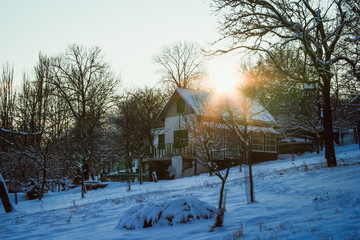 winter landscape with a rich snowflake