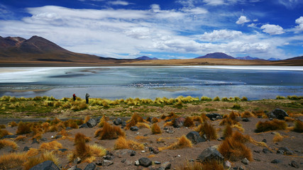 Landscape of the blue lagoon with flamingos, Andes mountains, Altiplano of Bolivia