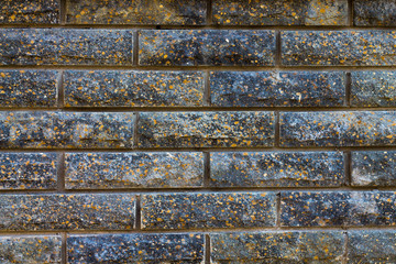 black brick wall with rye