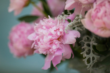 Pink Peonies