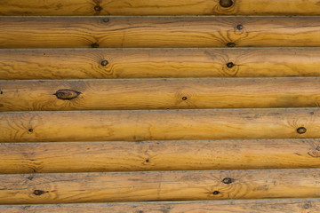 Tree wall background