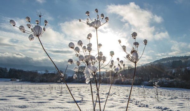 Sonnentag im winter