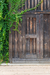 Fresh evergreen foliage trees surrounding the old wooden door and ivy covered wall vintage house