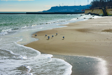 Sunny winter day at seaside. Odessa, Ukraine